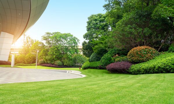 Commercial Lawn Care in Sun City West