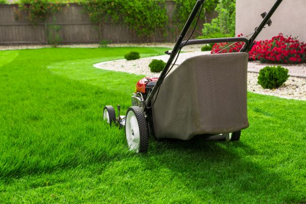 Home Yard Maintenance in Sun City West