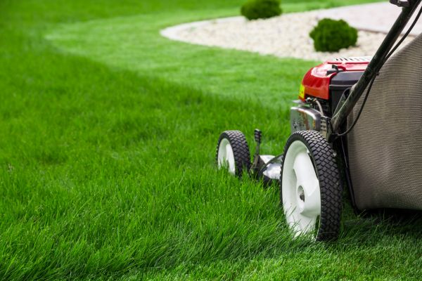 Lawn Cutting Service in Sun City West