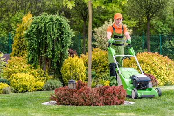 Yard Service in Sun City West