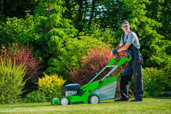 Yard Work Service in Sun City West