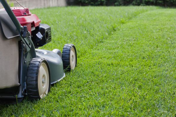 Residential Lawn Care in Sun City West
