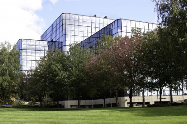 Commercial Lawn Service in Sun City West