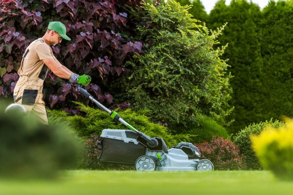 Lawn Management in Sun City West