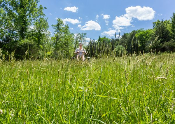 Long Grass Mowing in Sun City West