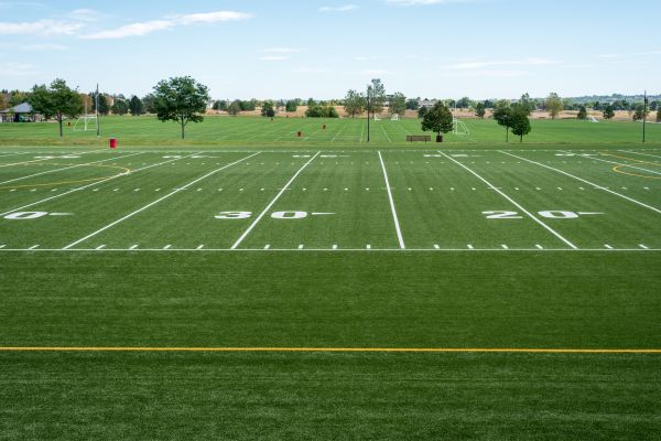Groundskeeping Service in Sun City West
