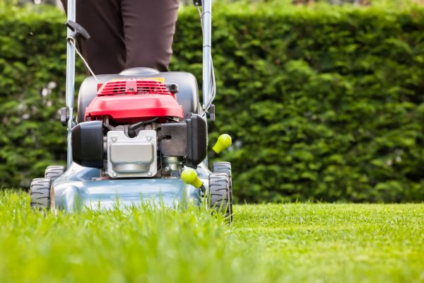 Grass Trimming Service in Sun City West