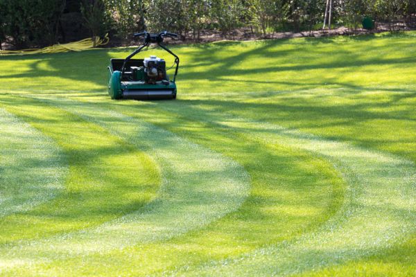Business Lawn Mowing in Sun City West