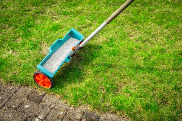 Commercial Lawn Treatment in Sun City West
