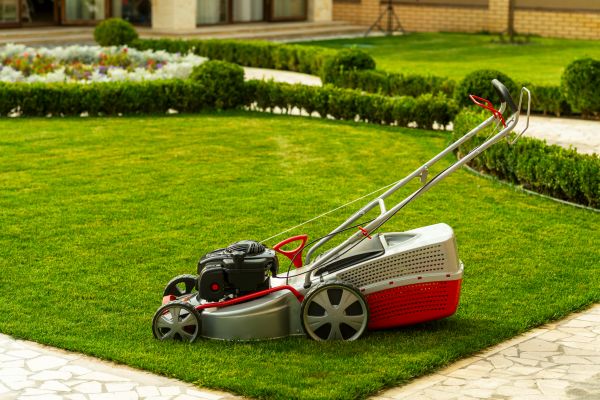 Business Grass Cutting in Sun City West