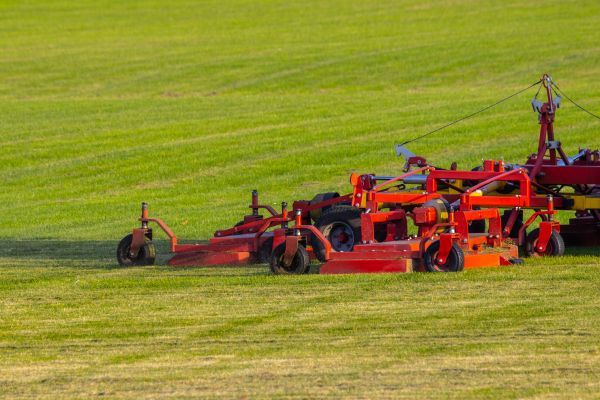 Industrial Lawn Service in Sun City West