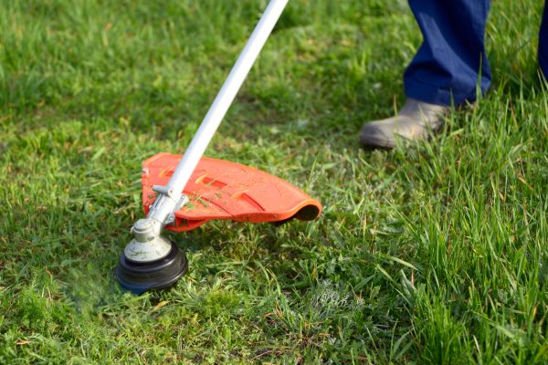 Lawn Weed Whacking in Sun City West