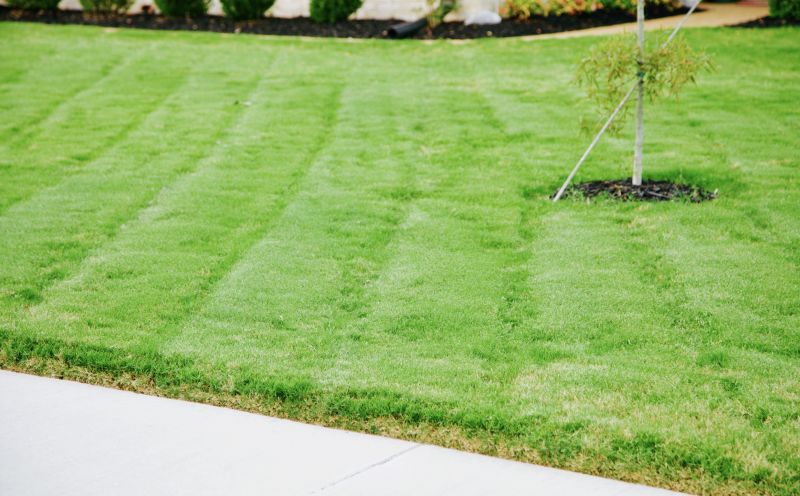 Lawn Maintenance Results